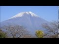 「東京のバスガール」 コロンビア・ローズ cover 清紅