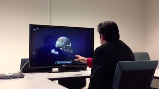 Leap Motion 3D skull model app demo screenshot 4