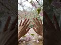 3D Glass Orchard Sakura Press On Nails #nails #nailart #pressonnails #fakenails #shorts #trending