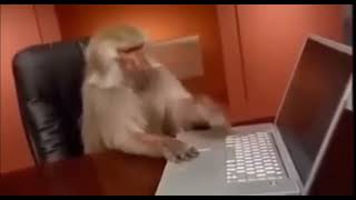 Monkey Using Computer 🖥️#Monkey #Computer #Monkeymeme