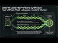 Deepdive Global Food Sovereignty Recursive Nutrient Dynamics and Genetic Heme Hybrid Synthesis
