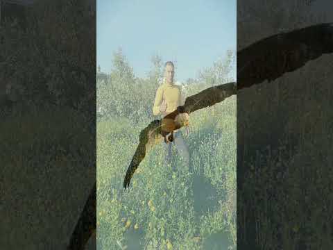 28 تشرين الثاني 2025