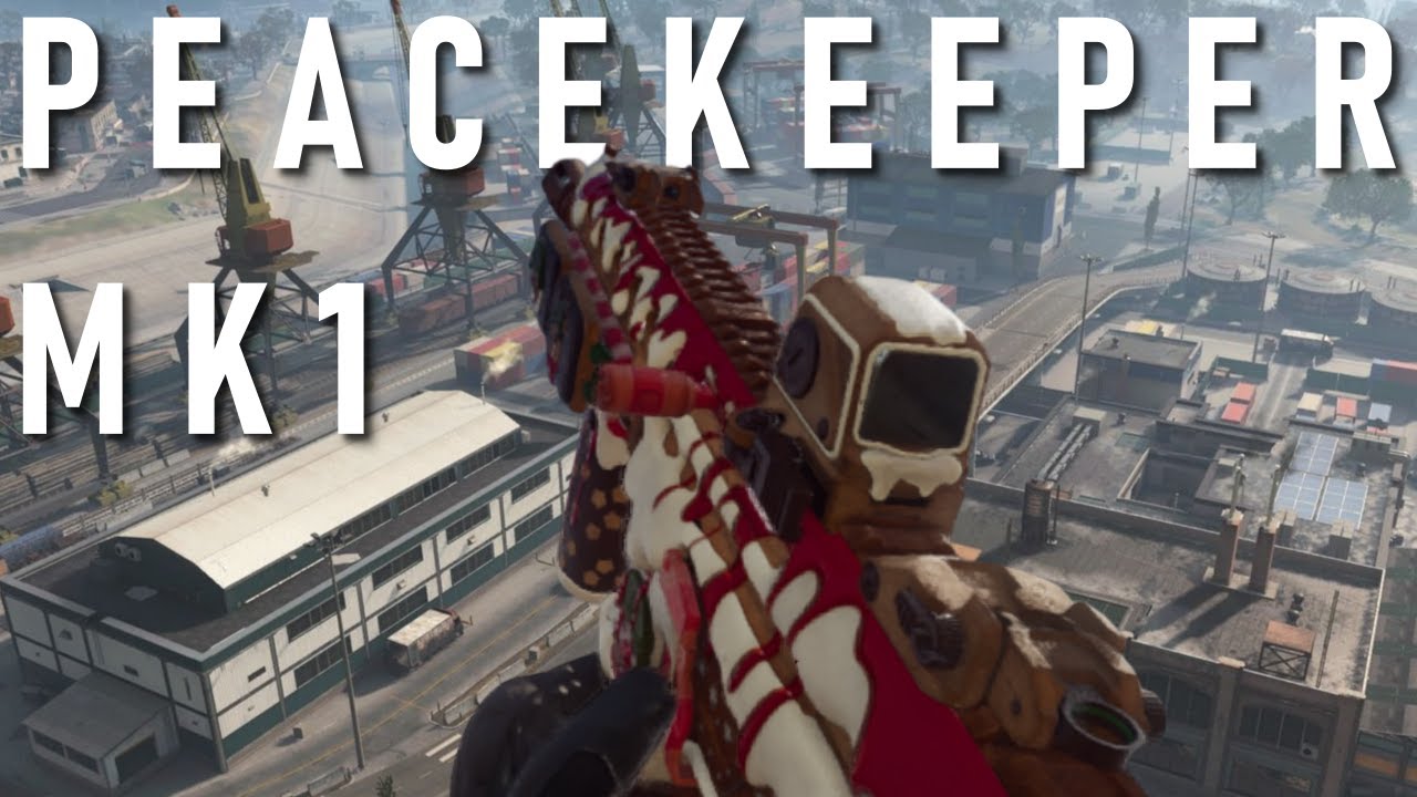 PEACEKEEPER MK1 Call of Duty Warzone Battle Royale Quads Gameplay (No Commentary)