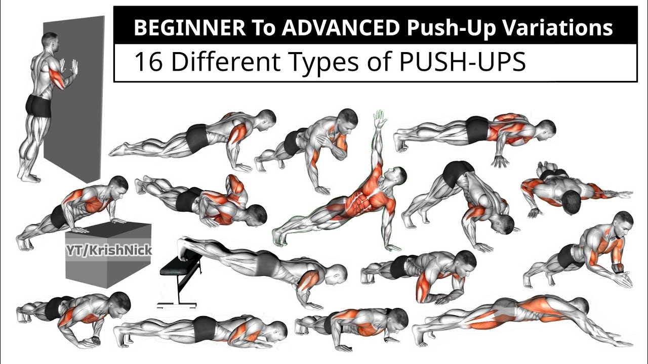 Push Up Diffret BEGINNER To ADVANCED Push-Up Variations | 16 Different Types of PUSH ...