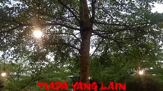 Tiada yang lain ❤ Versi reggae ska 🏃‍♂ cover by Andre Wiwin