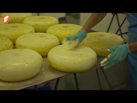 Hoe maak je kaas van uitzonderlijke kwaliteit?