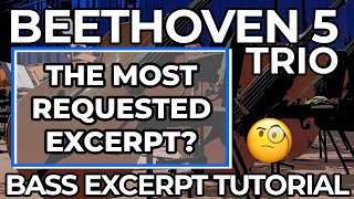 Bass Excerpt Tutorial: Beethoven 5 Trio
