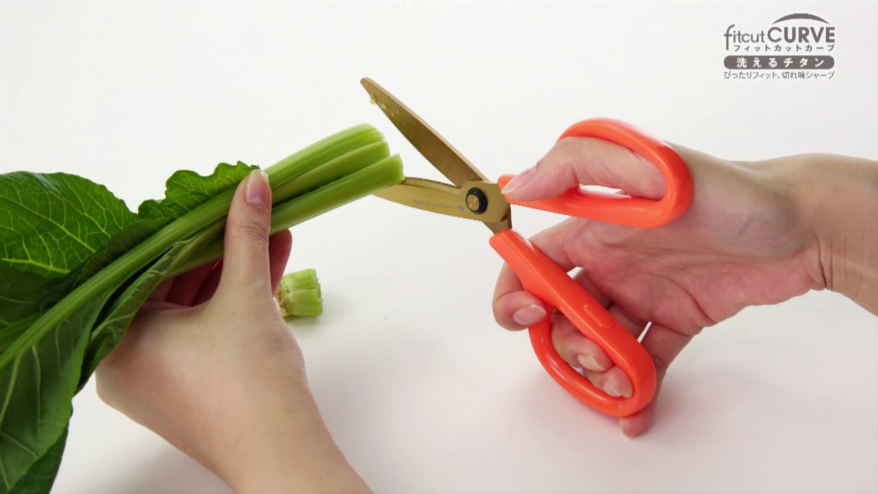 【PLUS】はさみ　fitcut CURVE　フィットカットカーブ 洗えるチタン