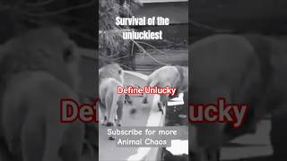 When Nature Rolls A Critical Fail.