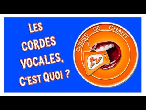 Vidéo: Où sont vos cordes vocales ?