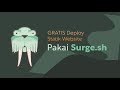 Coba'in Surge.sh Untuk Deploy Static Website‼️Gratis dan Mudah Banget