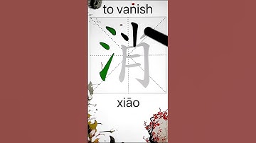 How to Write 消(to vanish) in Chinese? App Name :《ViewChinese》&《My HSK》