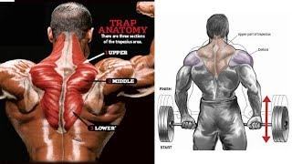 اقوى 9 تمارين ابراز عضلة ترابيس  (Traps Workout)