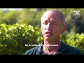 Visiting a French Winery Run by Veterans