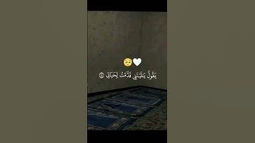 ما تيسر من سورة الفجر شيخ محمد البراك🤍 #محمد_البراك #القرآن_الكريم #قرآن #viral #foryou #viralvideo