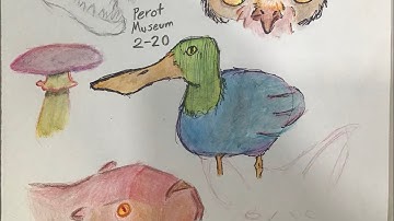 CSSSA 2023 Application - Out Of State Rejected