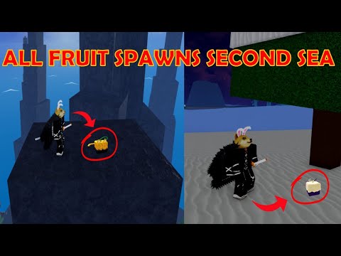 All Devil Fruit Spawn Locations in ALL 3 Sea's on Blox Fruits