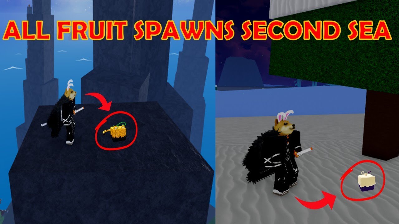 All Fruit Spawn Locations (Blox Fruits) SEA 3 