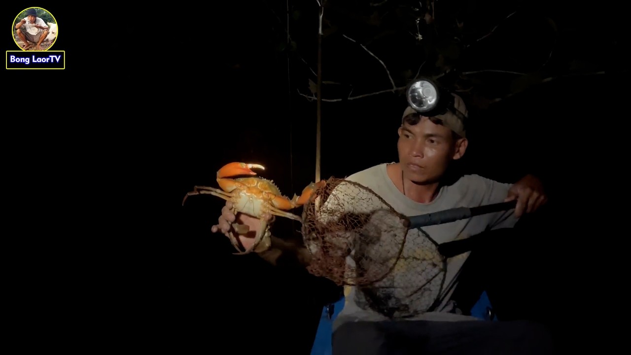 ទៅឆ្លុះចាប់ក្ដាមថ្មលេខ១តាមកោះឆ្ងាយៗ GO TO CATCH NUMBER ONE MUD CRAB ON ISLAND AT NIGHT HIGH 4K VIDEO