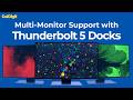 Multi-Monitor Support with CalDigit Thunderbolt 5 Docks