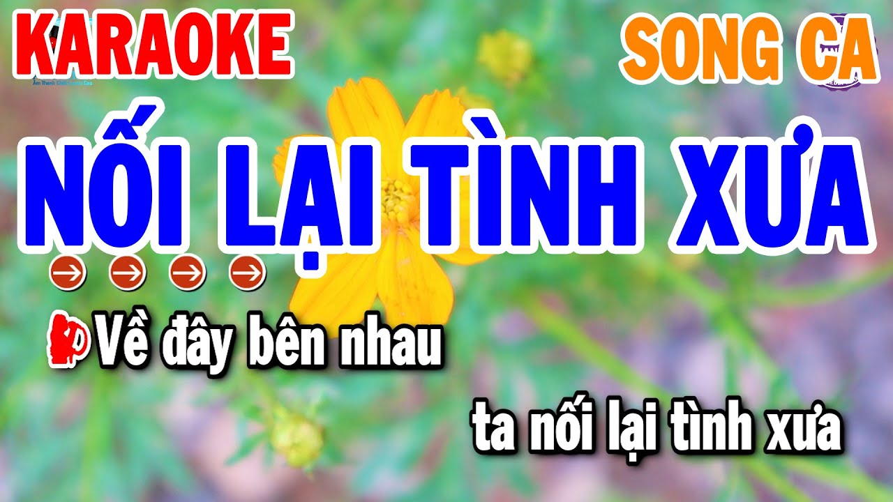 Nối Lại Tình Xưa Karaoke Song Ca ( Dm ) Cha Cha Mới | Thanh Hải Organ