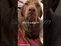 We were about to have an intervention in these comments 🤞😂 #trending #viral