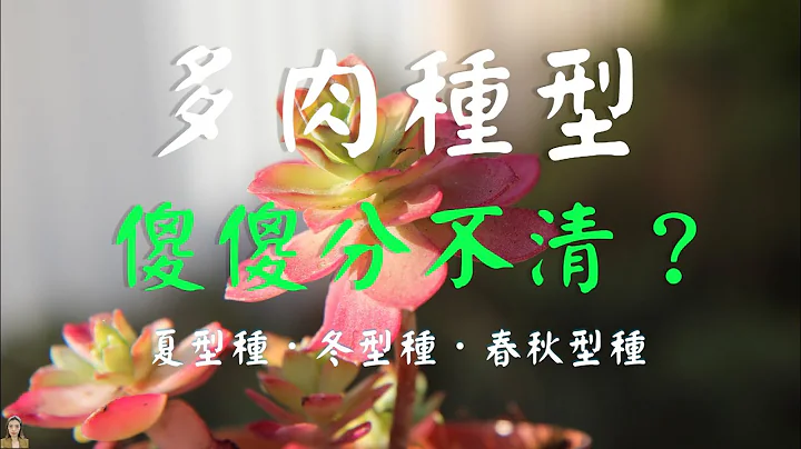 多肉植物养护，夏型种|冬型种|春秋型种，傻傻分不清楚？最全常见整理记得收藏|花花世界 - 天天要闻