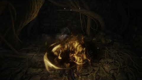 new chest trap just dropped