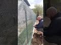 забор дачника