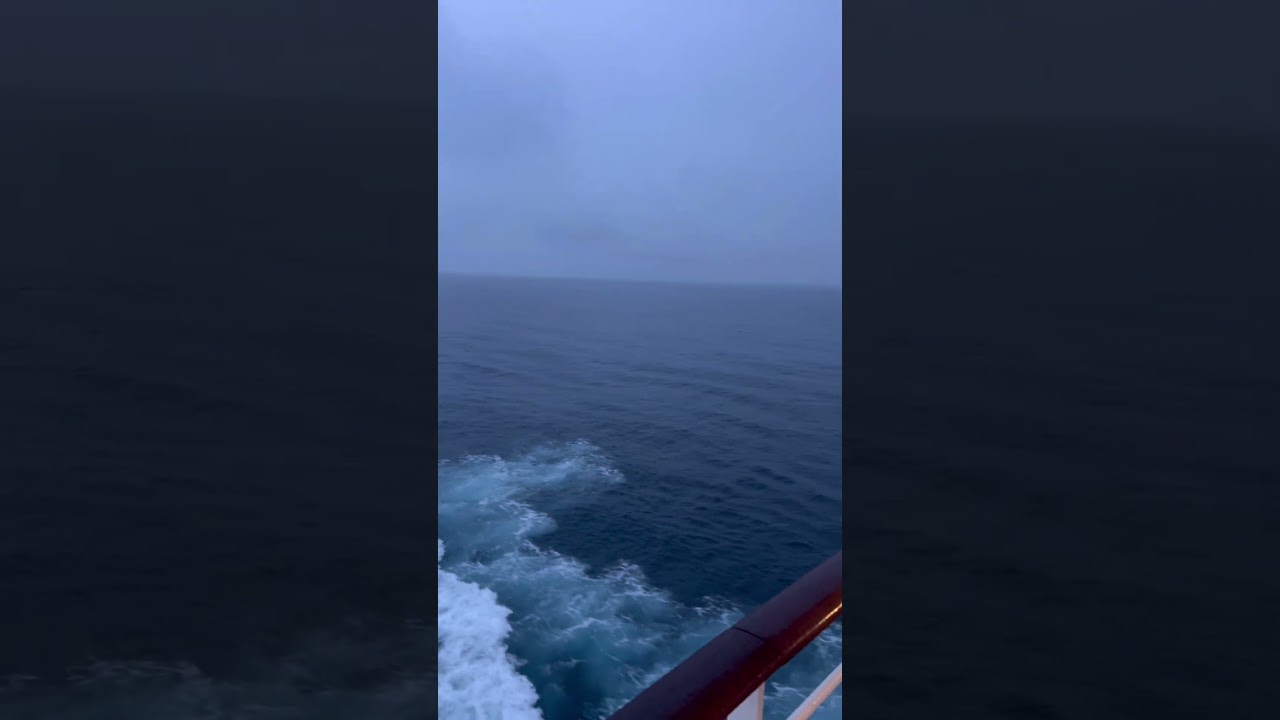 Humpback Whales Off the Bow | Island Princess Sailing Toward LA