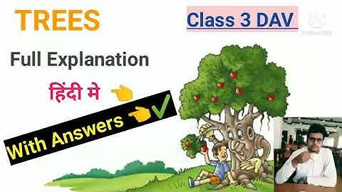 Trees English Reader  Class 3  DAV  full explanation with answers@Englishwithpawansir