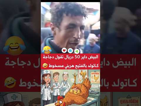 البيض ب 50 واخة تكون الدجاجة كات ولد بالفتيح
