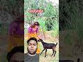 बकरी गायब 😄90'S Old Hindi Songs 🥺90s Love Song 😍Udit Narayan, Alka Yagnik, Kumar Sanu songs Hindi