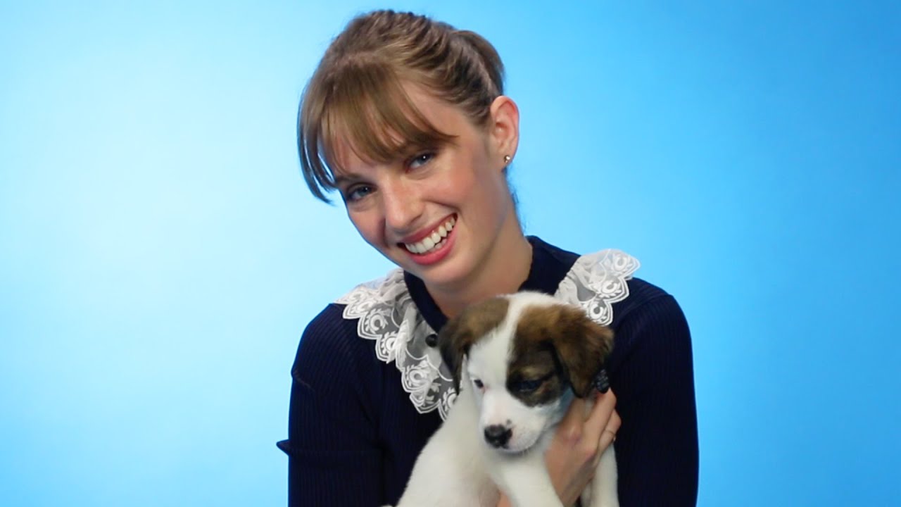 stranger things season 3 ending Maya Hawke Plays With Puppies While Answering Fan Questions