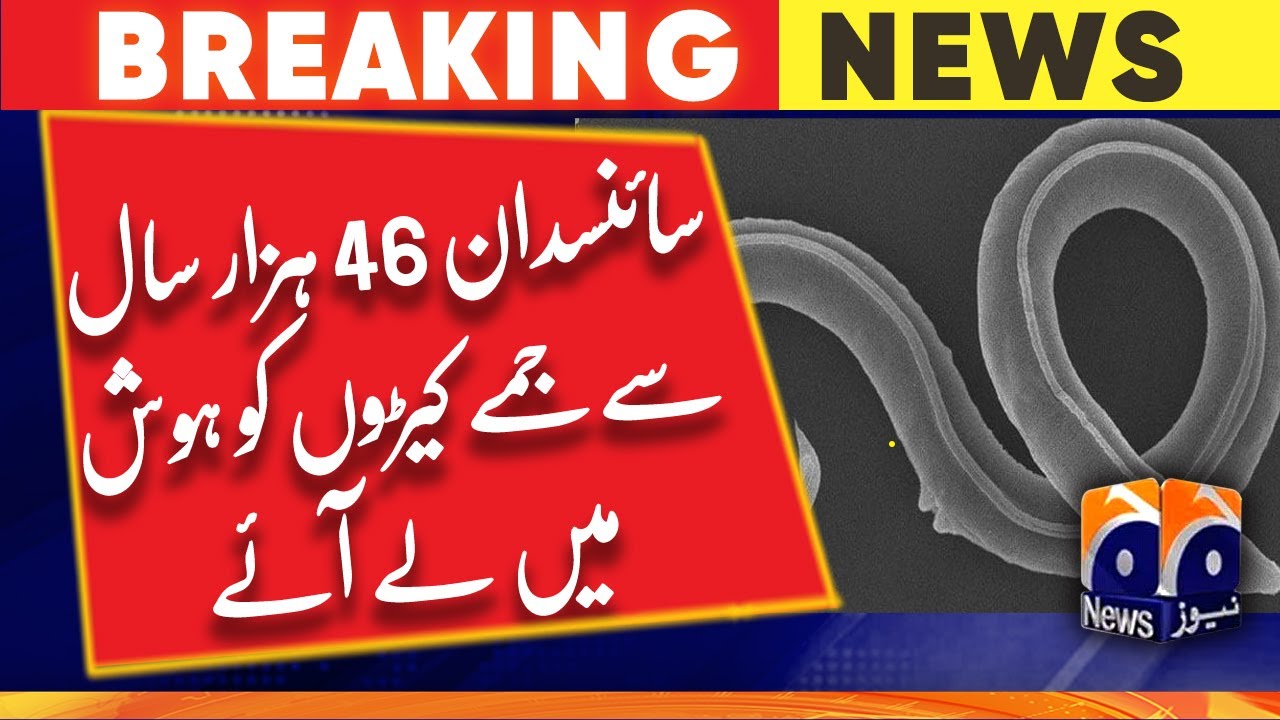 These worms were resurrected after 46,000 years frozen in the Siberian permafrost