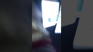 бременские музыканты телефон игрушка