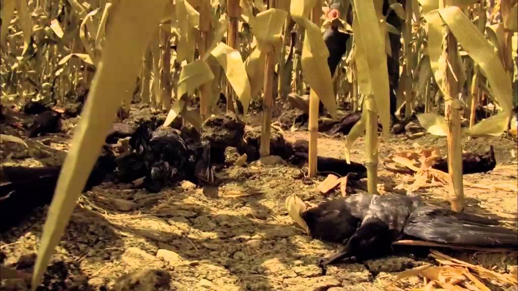 Les Messagers - Les origines du mal - YouTube