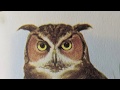 BIRDWATCHING - skribe