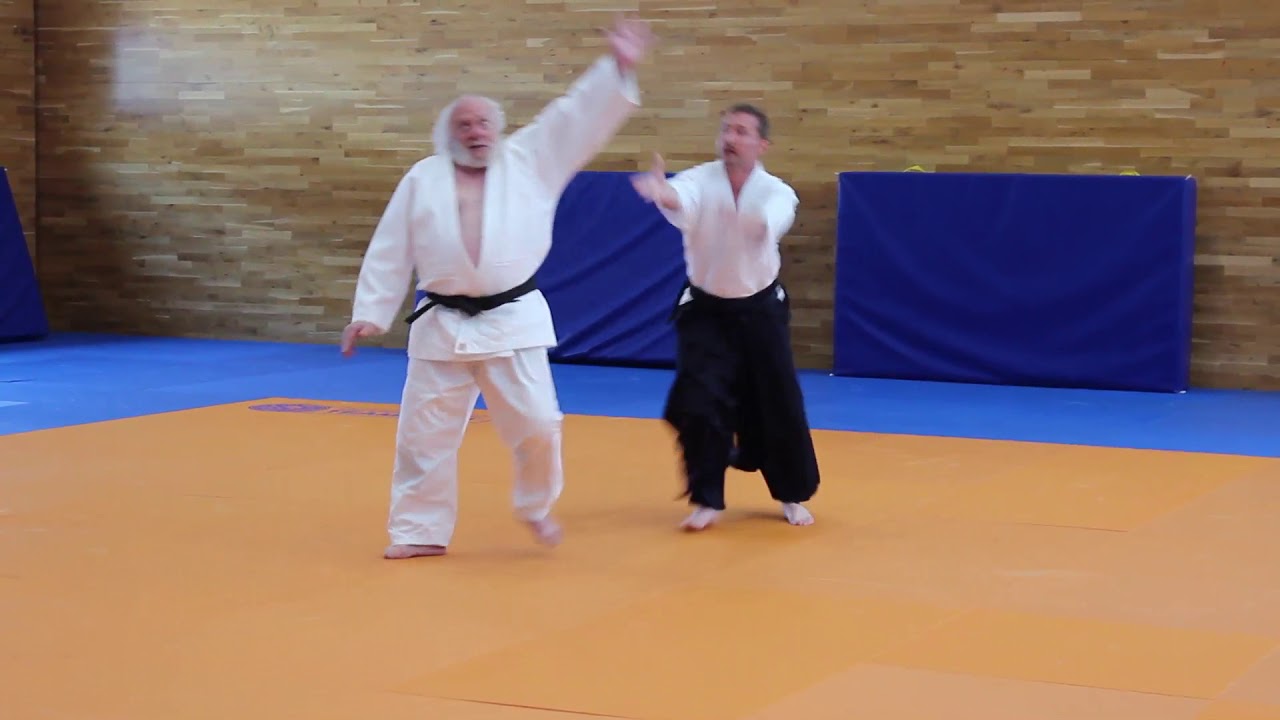Light: Peter Shapiro Sensei 2018: O Sensei's Vision Seminar Bath UK