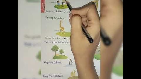 Chapter-1 Positions and Comparison, (Class-1A)MATHS,30th April2021@SFSNARENGI