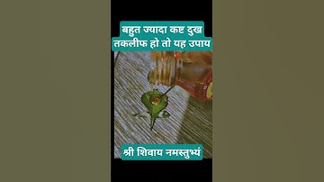 बहुत ज्यादा कष्ट दुख तकलीफ हो तो यह उपाय!#pradeep_ji_mishra #shortvideo #mahadev