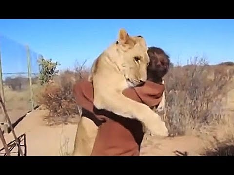 Есть ли у животных душа?