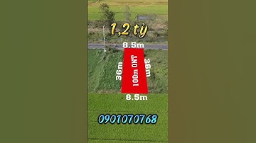 312m có 100m thổ cư mặt tiền TL872b xã Bình Tân Huyện Gò Công Tây