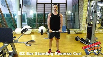 EZ Bar Standing Reverse Grip Curl