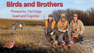 TPW: Birds and Brothers/ Iowa Pheasant, Partridge, Quai land Coyotes/ Season 2 episode 4.