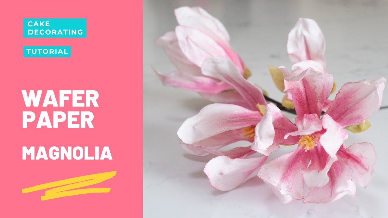 МАГНОЛИЯ из Вафельной Бумаги