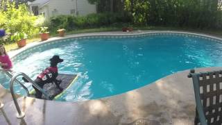 DIY Dog Ramp for pool