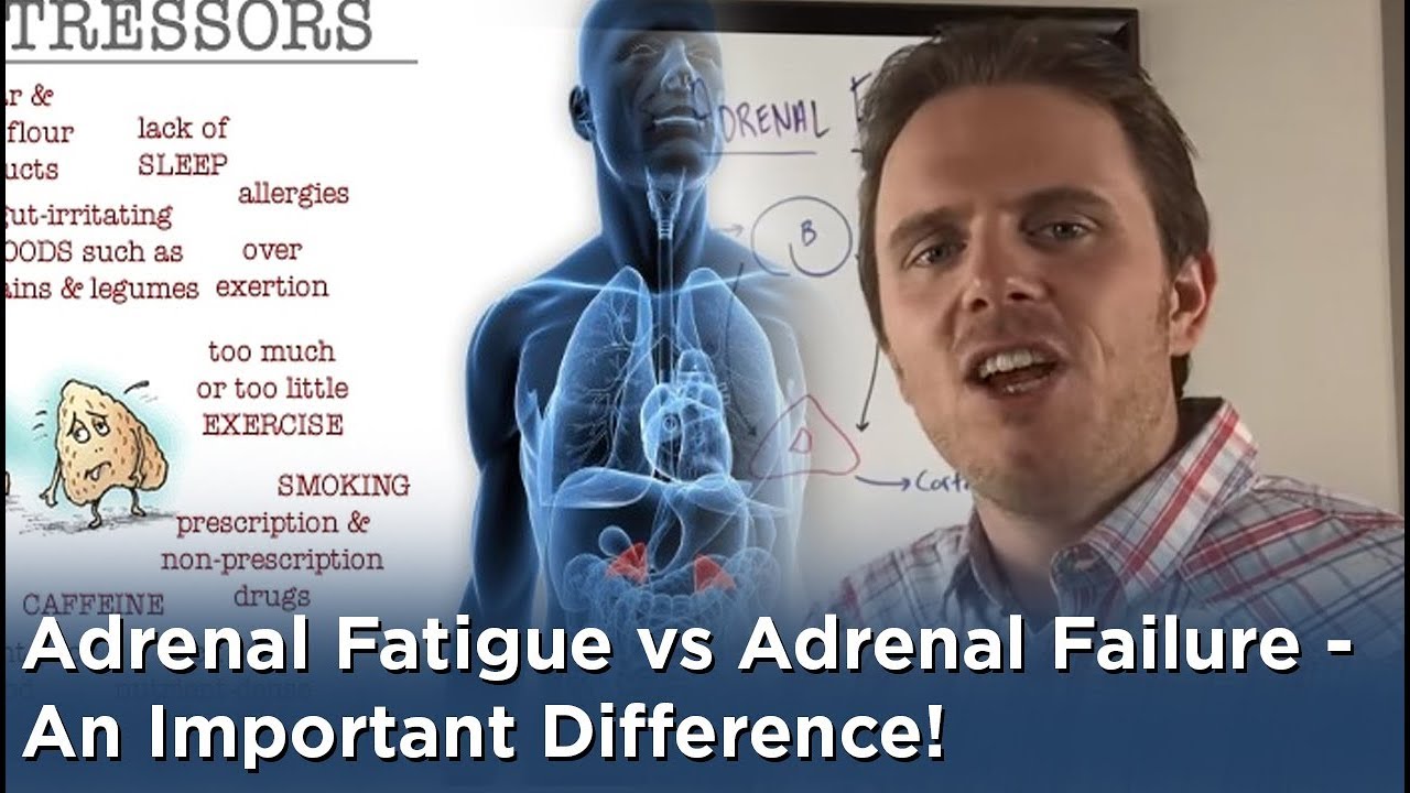 Adrenal Fatigue vs Adrenal Failure An Important Difference! YouTube