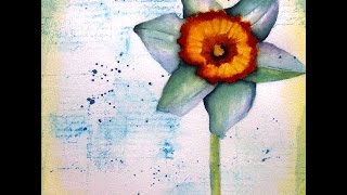 Watercolour Daffodil-Spring Painting with Rach0113 on Live with Prima