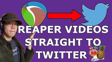 How to Export "Twitter-Ready" Videos From REAPER